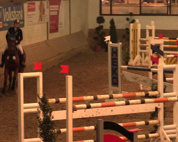 Hallenturnier Vlotho-Valdorf 2016