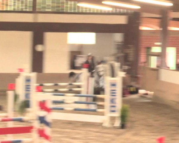 Hallenturnier Vlotho-Valdorf 2016