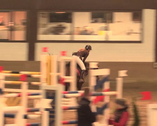 Hallenturnier Vlotho-Valdorf 2016