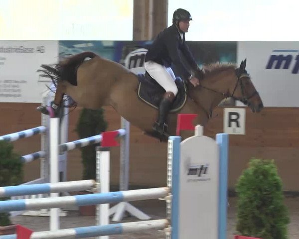 Springturnier Langenau 2016