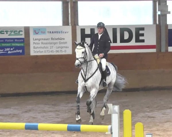 Springturnier Langenau 2016
