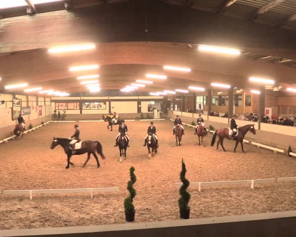 Hallenturnier Vlotho-Valdorf 2016