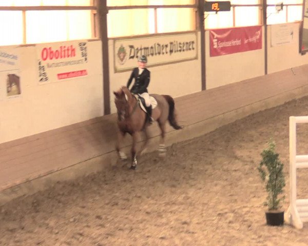Hallenturnier Vlotho-Valdorf 2016