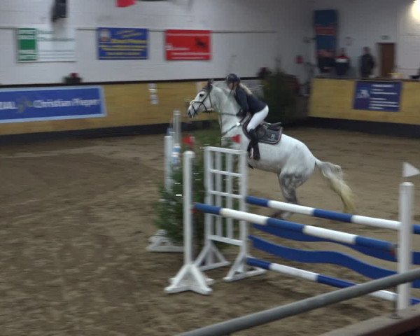 Reitturnier Heide 2021
