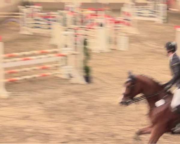 Hallenturnier Vlotho-Valdorf 2016