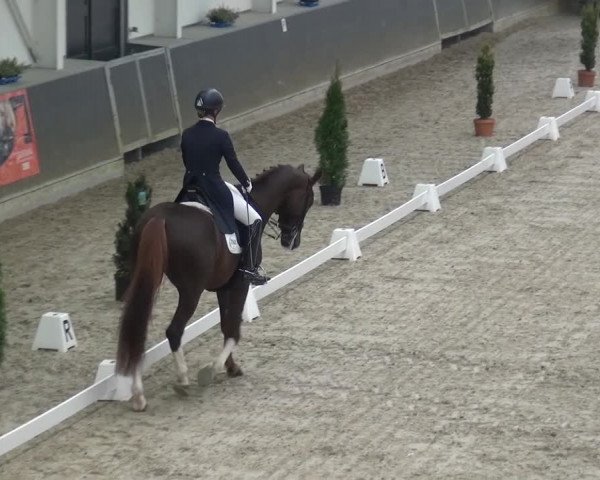 Reitturnier Mönchengladbach-Abtshof 2016