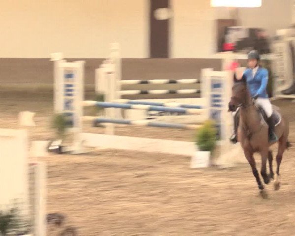 Hallenturnier Vlotho-Valdorf 2016