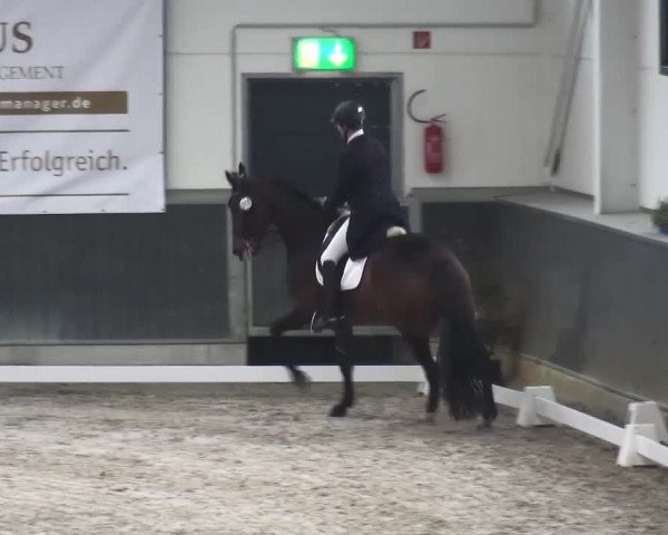 Reitturnier Mönchengladbach-Abtshof 2016