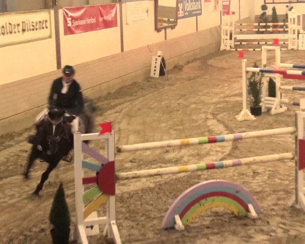 Hallenturnier Vlotho-Valdorf 2016