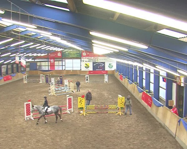 Dressurturnier Großenwiehe 2016