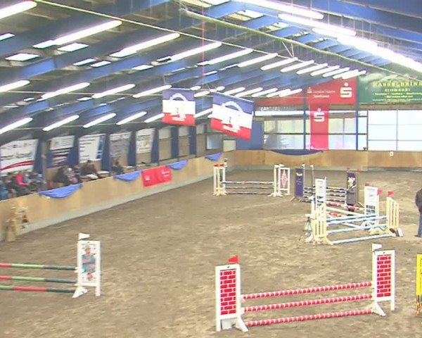 Dressurturnier Großenwiehe 2016