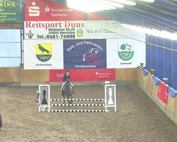Dressurturnier Großenwiehe 2016