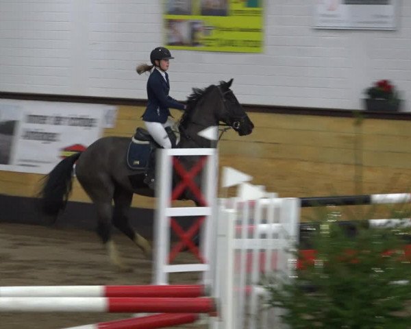 Reitturnier Heide 2021