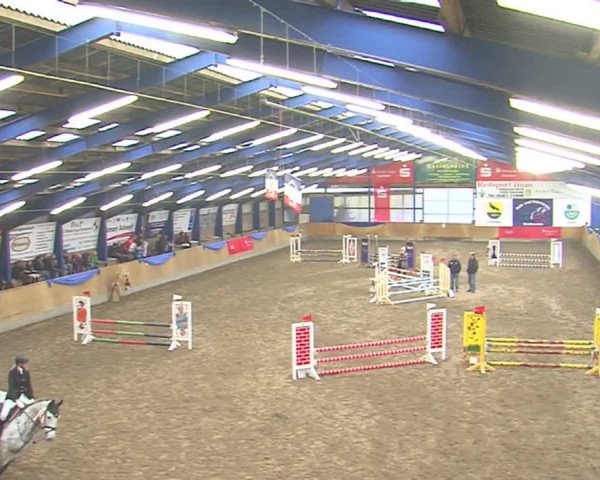 Dressurturnier Großenwiehe 2016