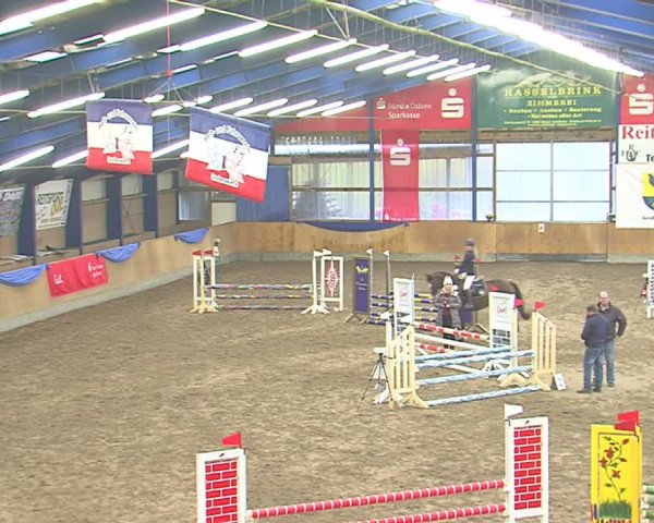 Dressurturnier Großenwiehe 2016