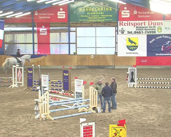 Dressurturnier Großenwiehe 2016