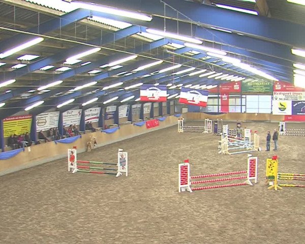 Dressurturnier Großenwiehe 2016