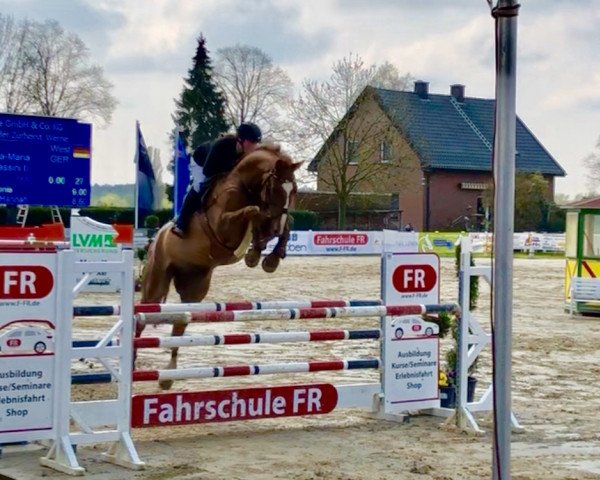 jumper Carmikel (Westphalian, 2011, from Camax L)