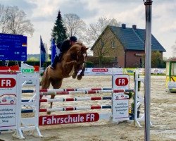 jumper Carmikel (Westphalian, 2011, from Camax L)