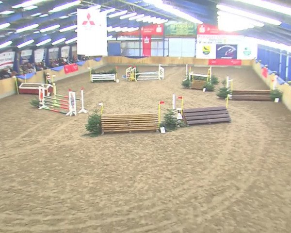 Dressurturnier Großenwiehe 2016