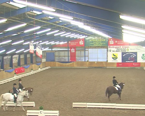 Dressurturnier Großenwiehe 2016
