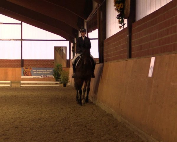 Reitturnier Iserlohn-Kalthof 2016