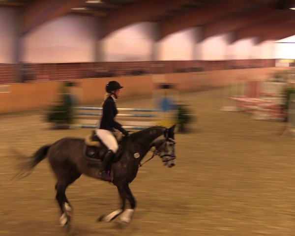 Reitturnier Iserlohn-Kalthof 2016