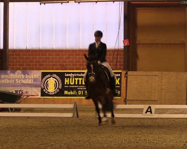 Reitturnier Iserlohn-Kalthof 2016
