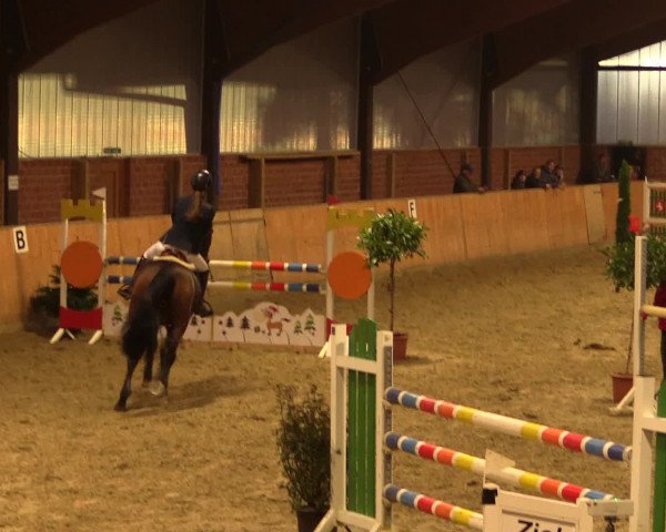 Reitturnier Iserlohn-Kalthof 2016