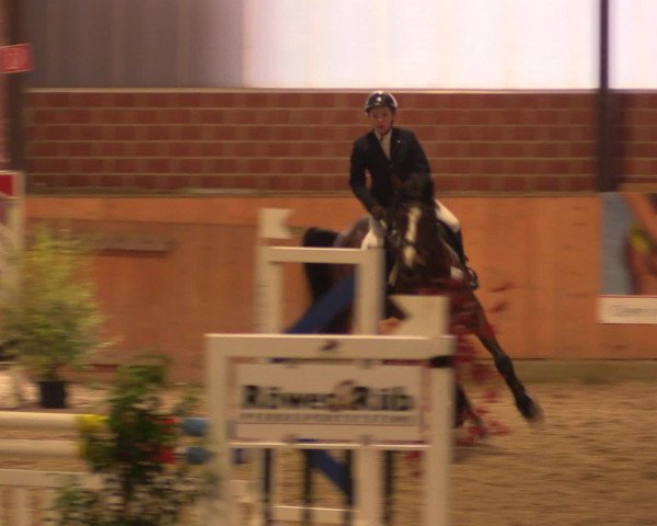 Reitturnier Iserlohn-Kalthof 2016