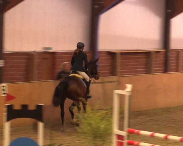 Reitturnier Iserlohn-Kalthof 2016