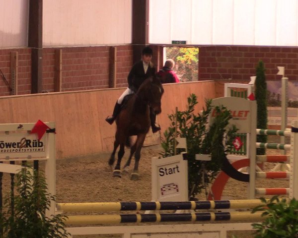 Reitturnier Iserlohn-Kalthof 2016