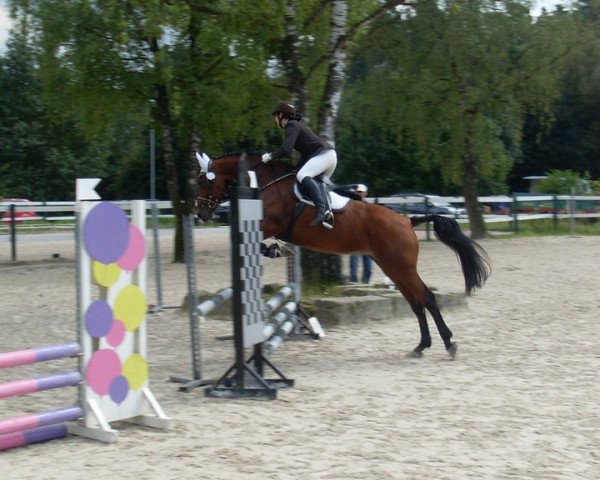 jumper Ariane (Bavarian, 1998, from Acord's Son R)