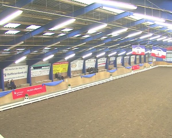 Dressurturnier Großenwiehe 2016