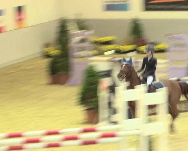 Legdener Ponymeeting 2016