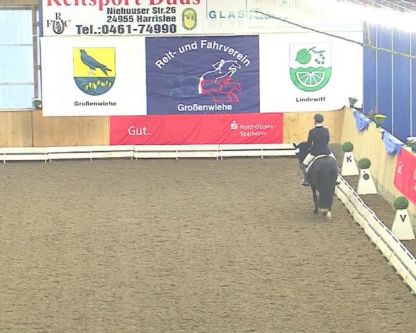 Dressurturnier Großenwiehe 2016