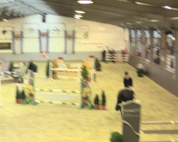 Legdener Ponymeeting 2016