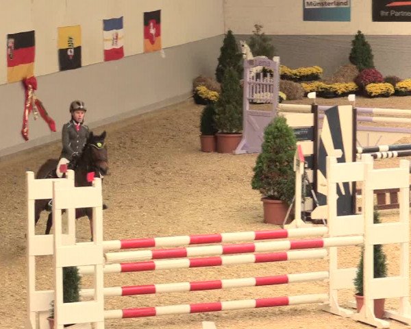 Legdener Ponymeeting 2016