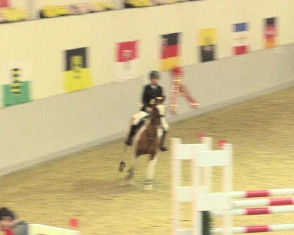 Legdener Ponymeeting 2016