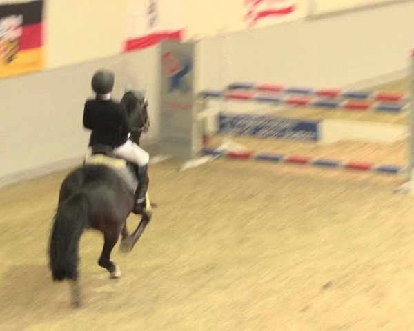 Legdener Ponymeeting 2016