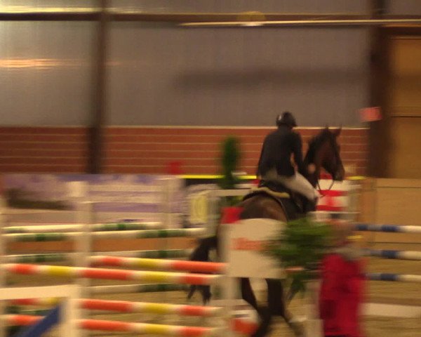 Reitturnier Iserlohn-Kalthof 2016