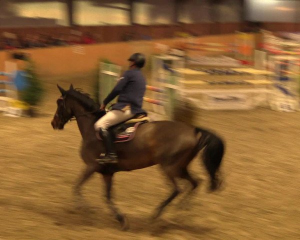 Reitturnier Iserlohn-Kalthof 2016