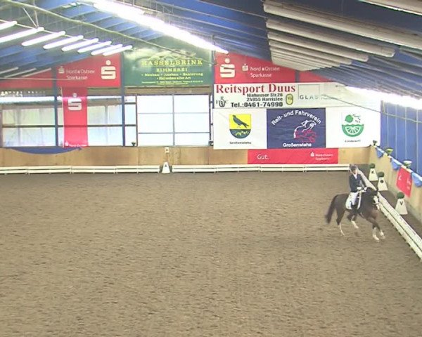Dressurturnier Großenwiehe 2016