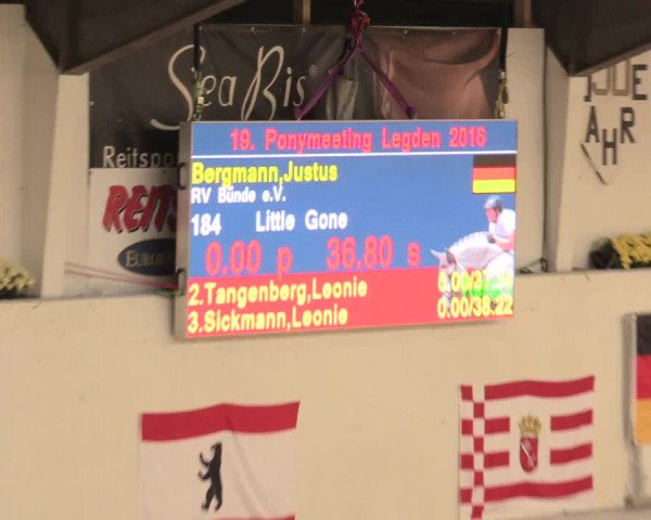 Legdener Ponymeeting 2016
