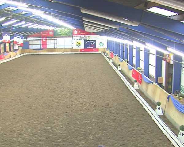 Dressurturnier Großenwiehe 2016
