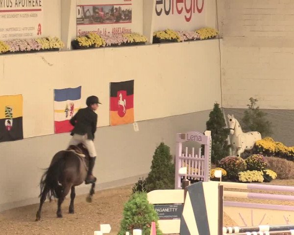 Legdener Ponymeeting 2016