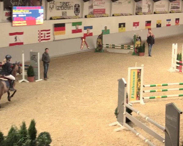 Legdener Ponymeeting 2016