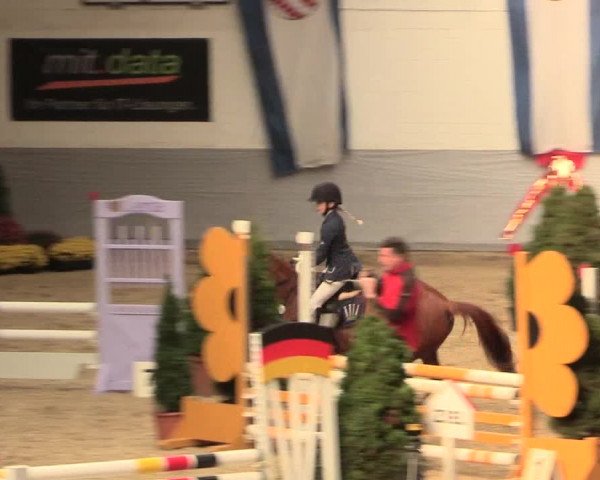 Legdener Ponymeeting 2016