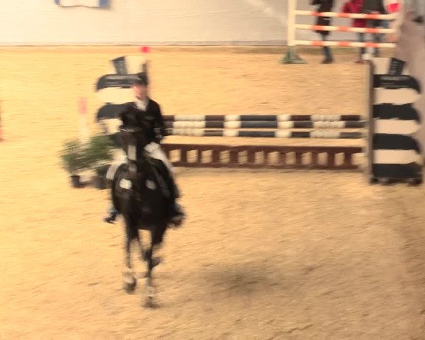 Legdener Ponymeeting 2016