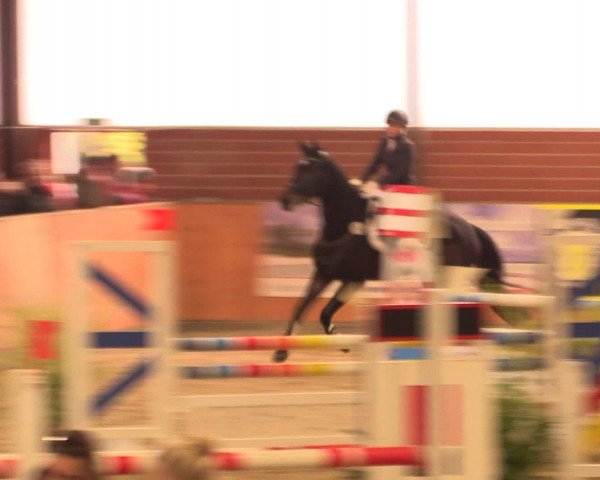 Reitturnier Iserlohn-Kalthof 2016